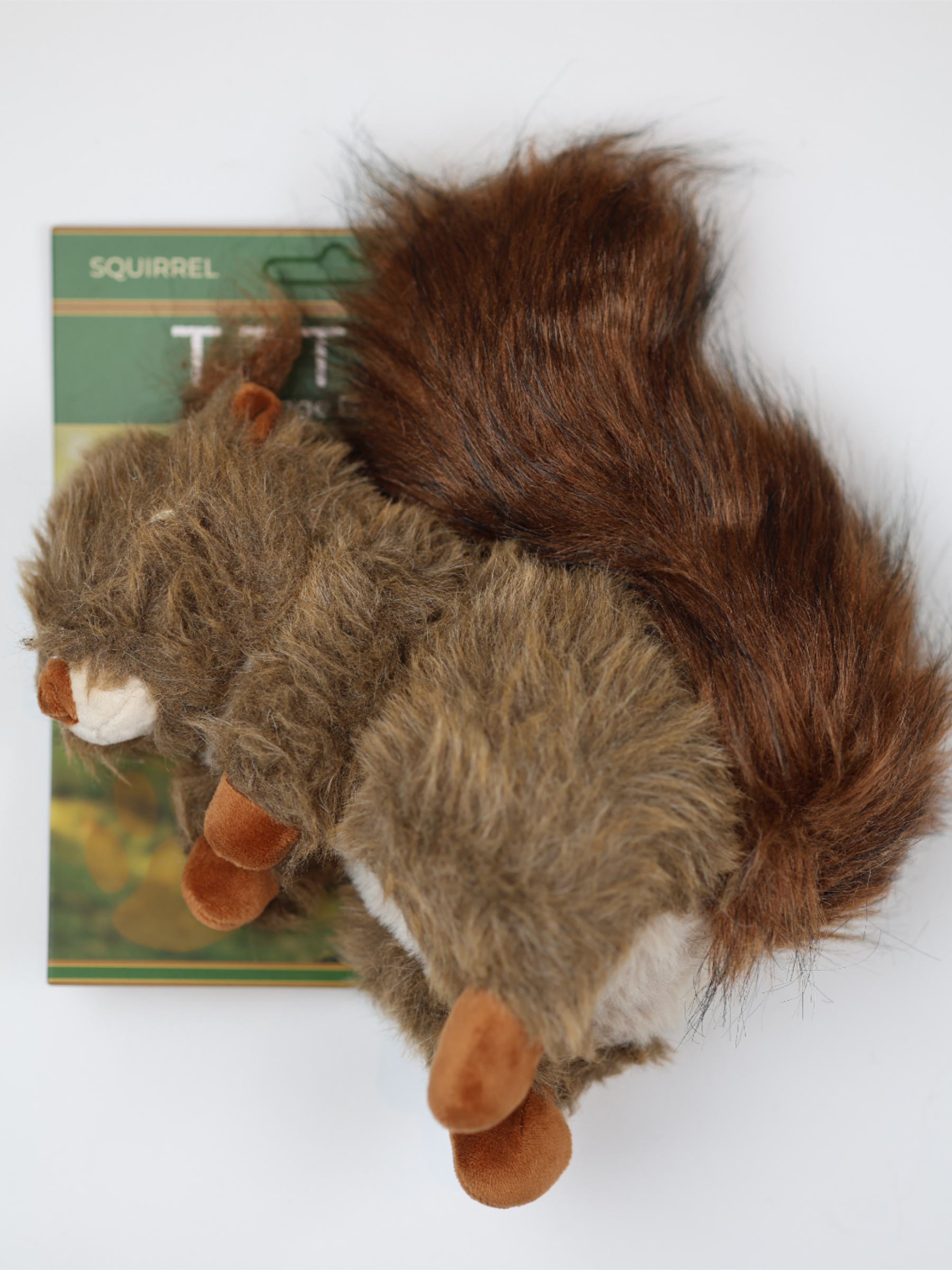 Heritage Squirrel