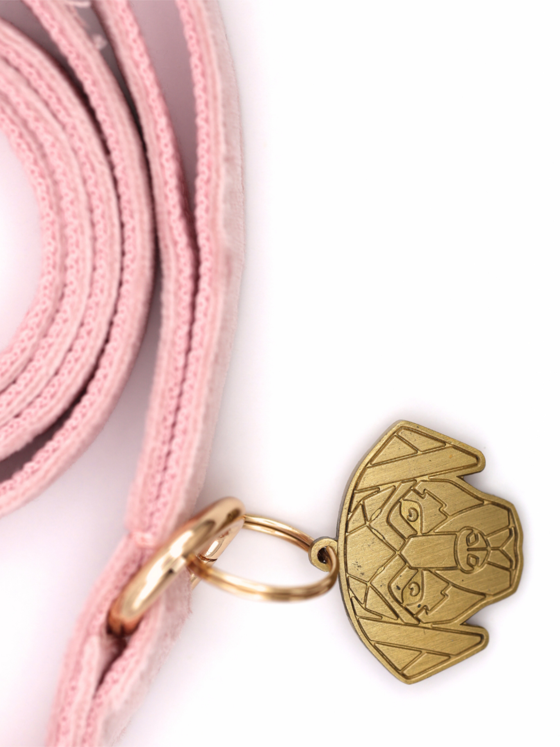 The Soho Puppy Collar & Lead