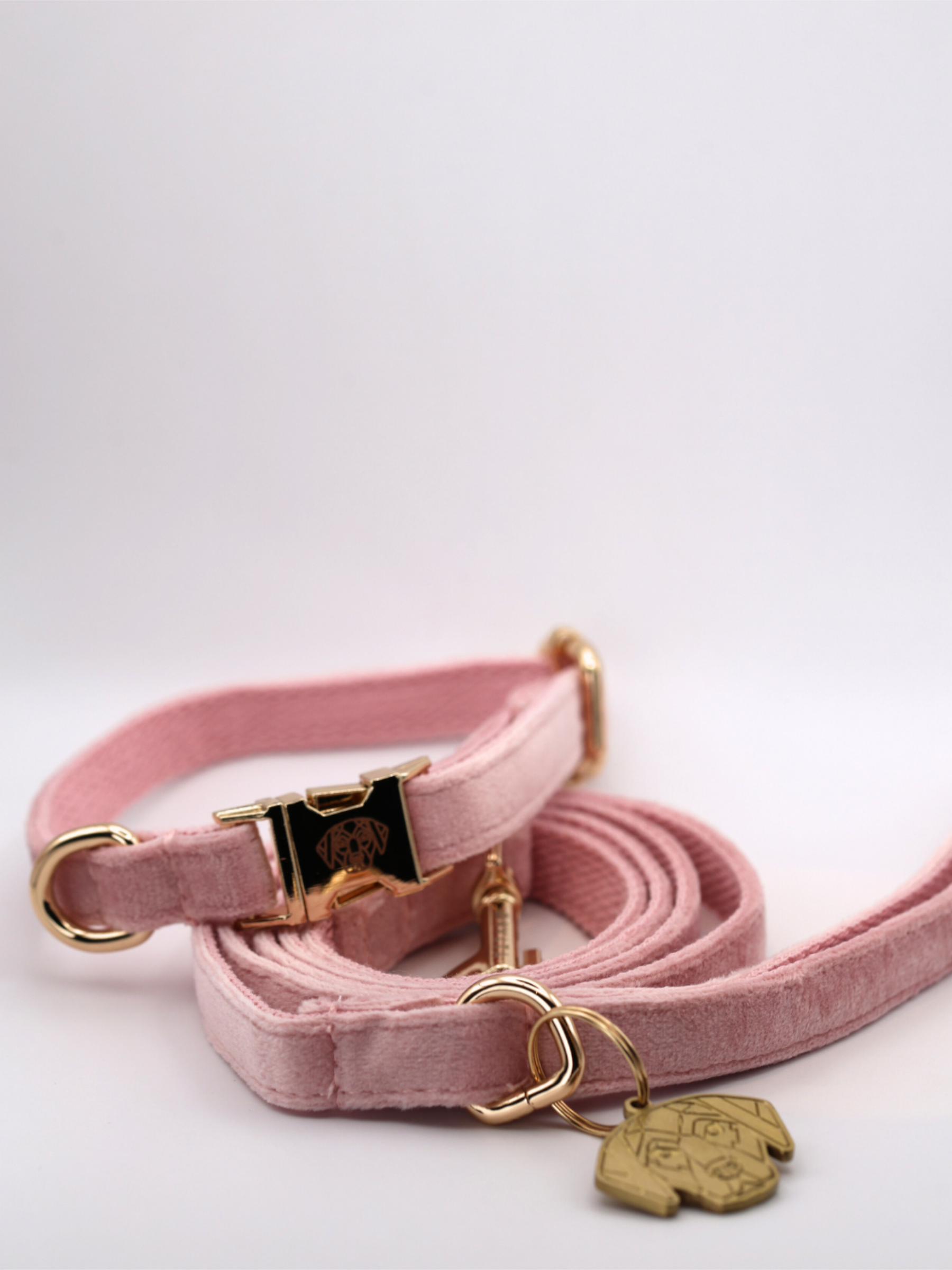 The Soho Puppy Collar & Lead