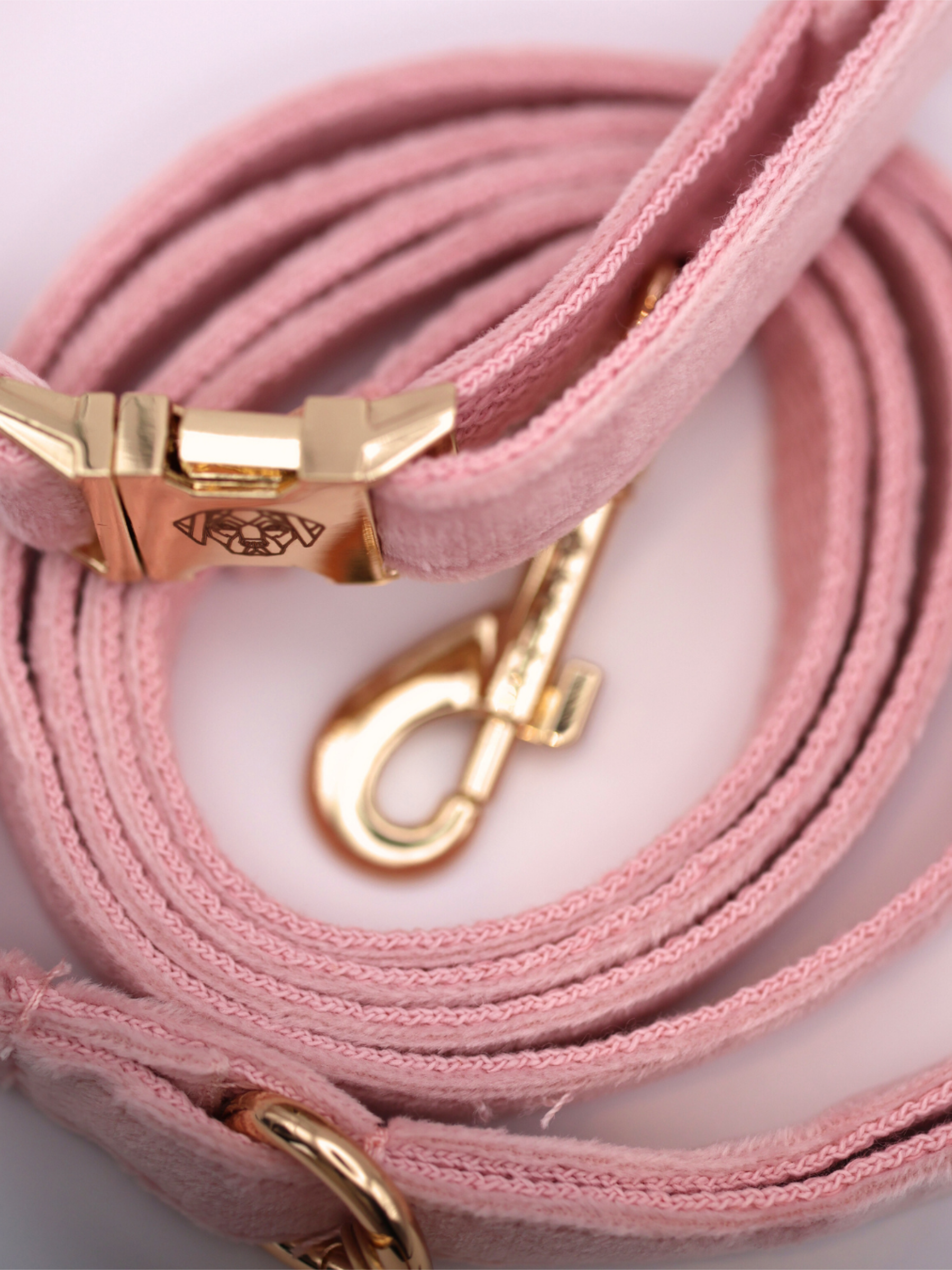 The Soho Puppy Collar & Lead