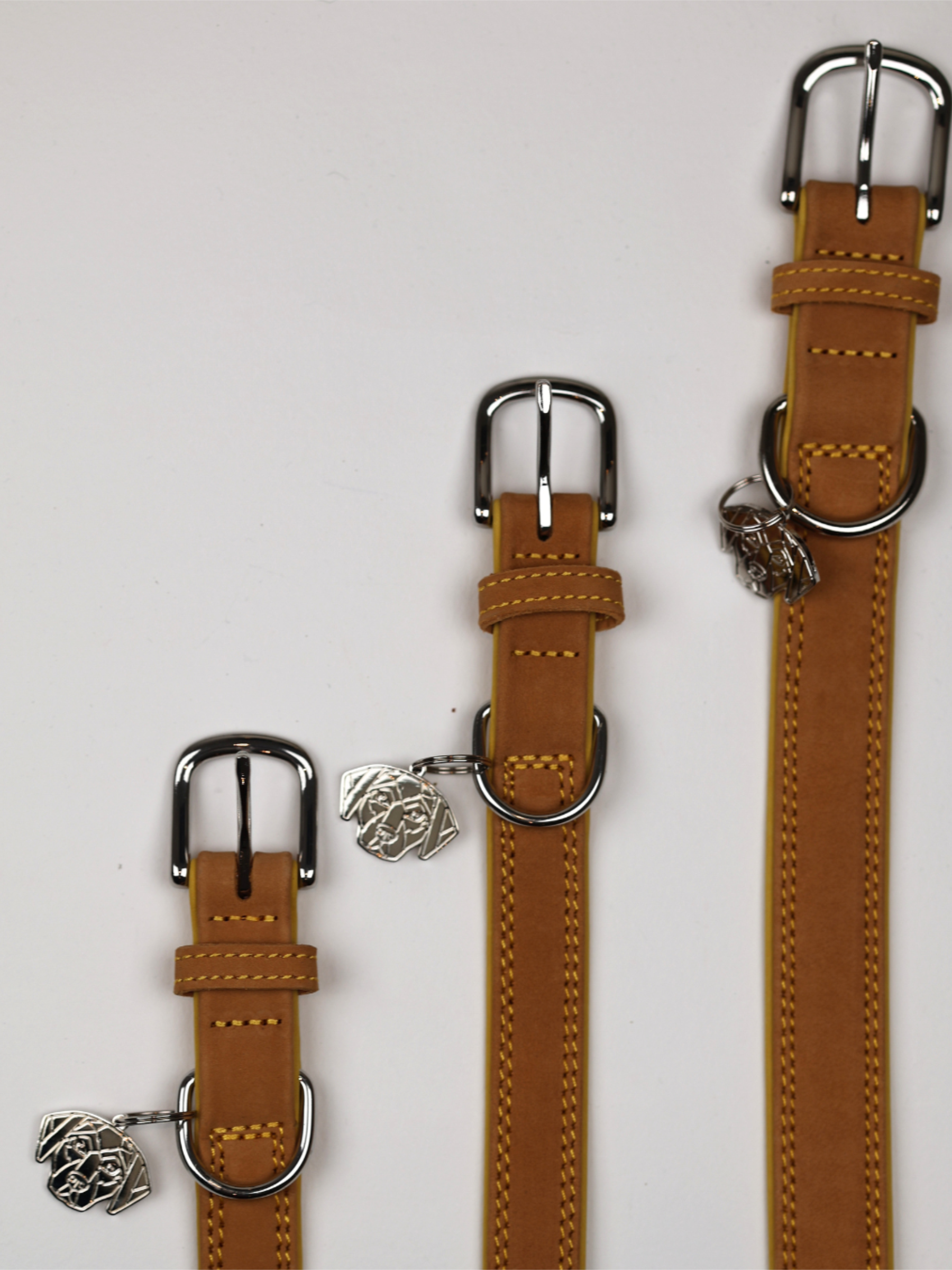 The Blakeney Collar