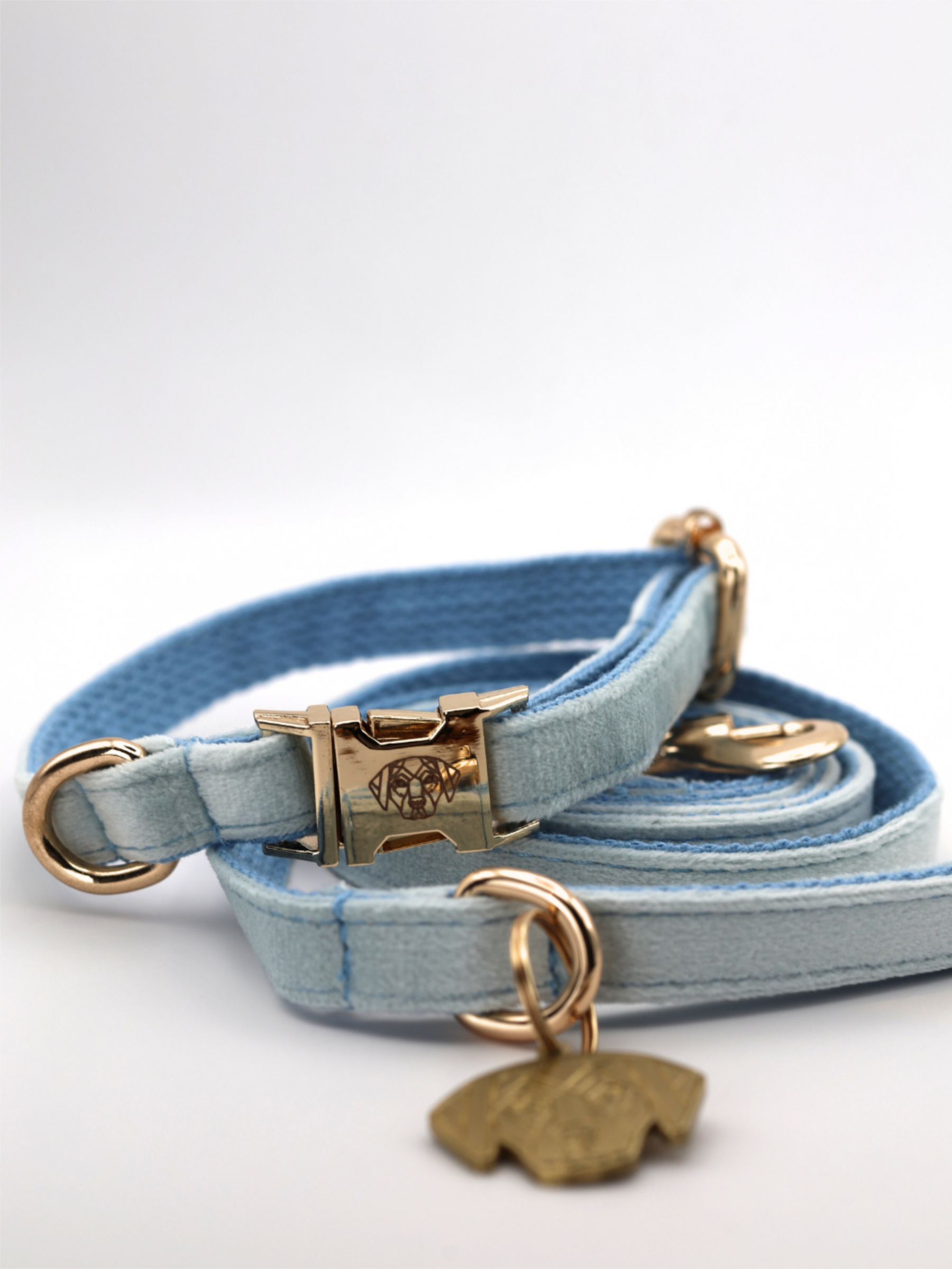 The Soho Puppy Collar & Lead