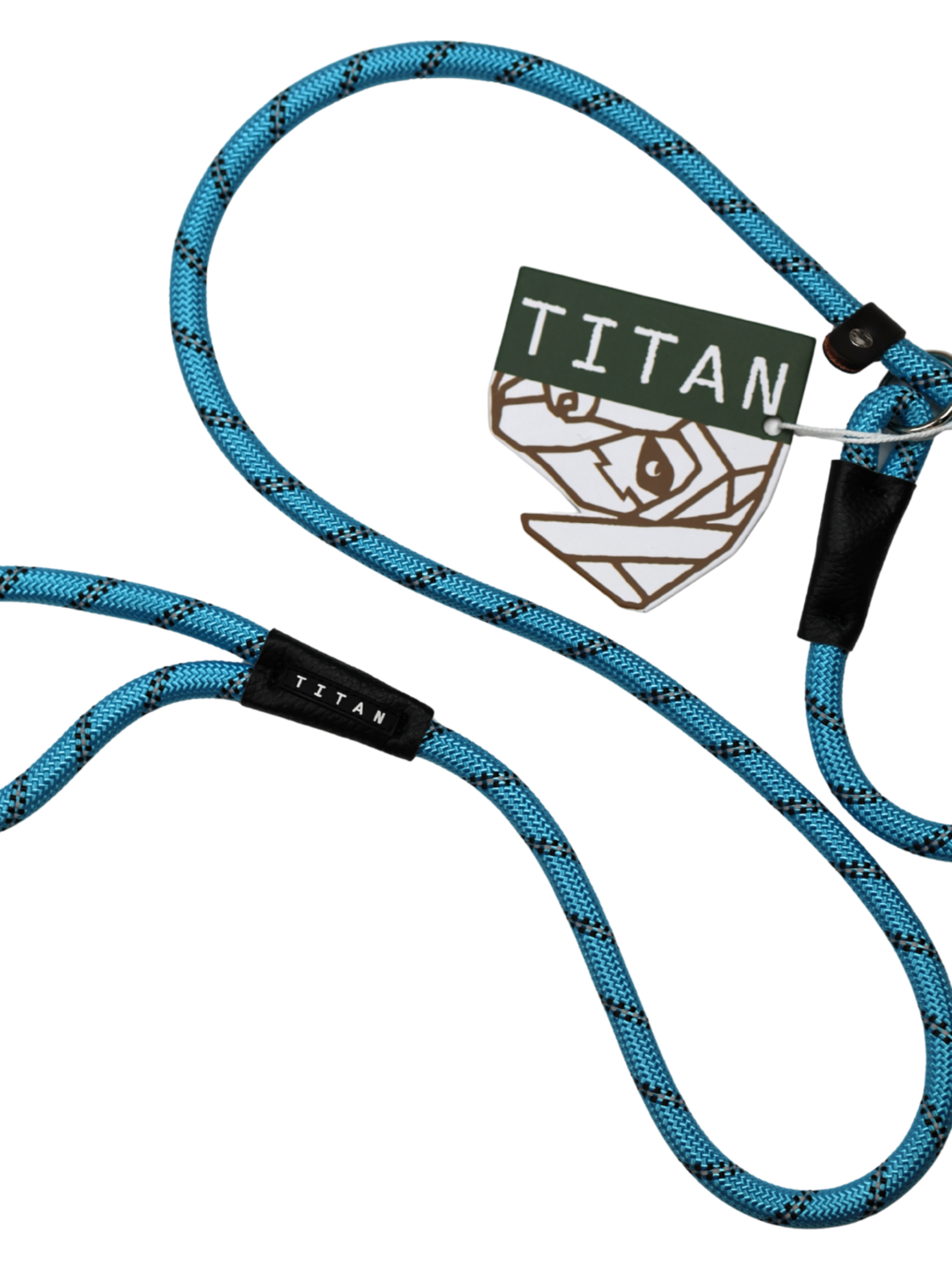 The Everyday Slip Lead