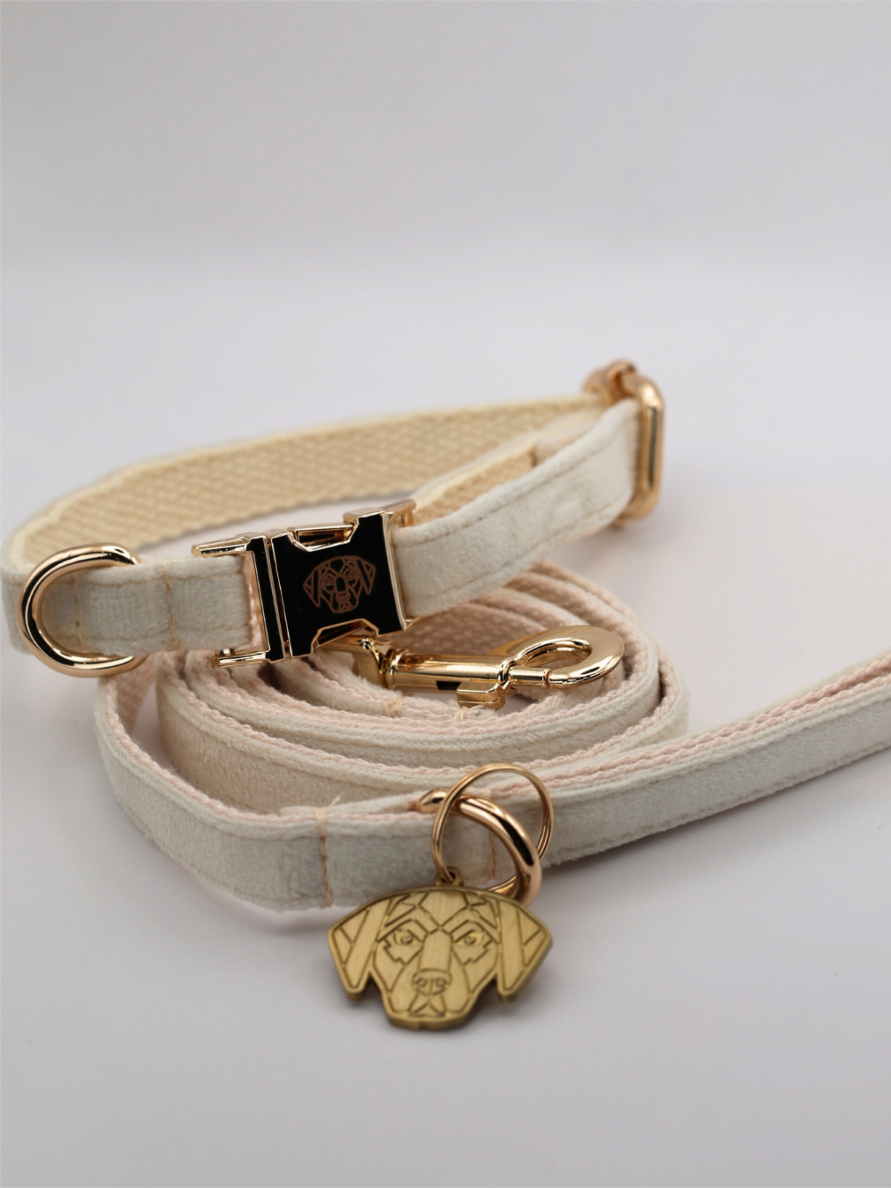 The Soho Puppy Collar & Lead