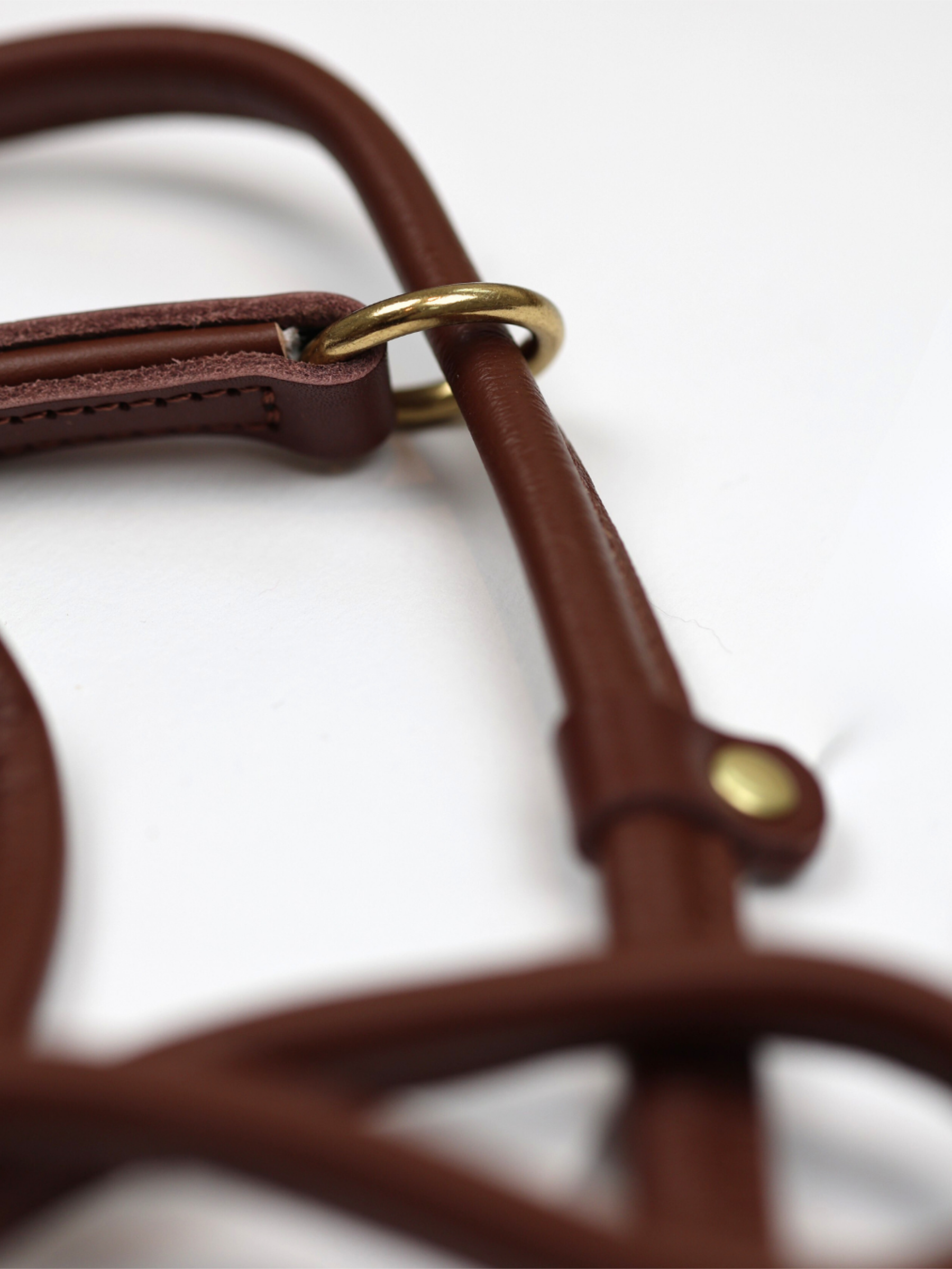 The Norfolk Slip Lead