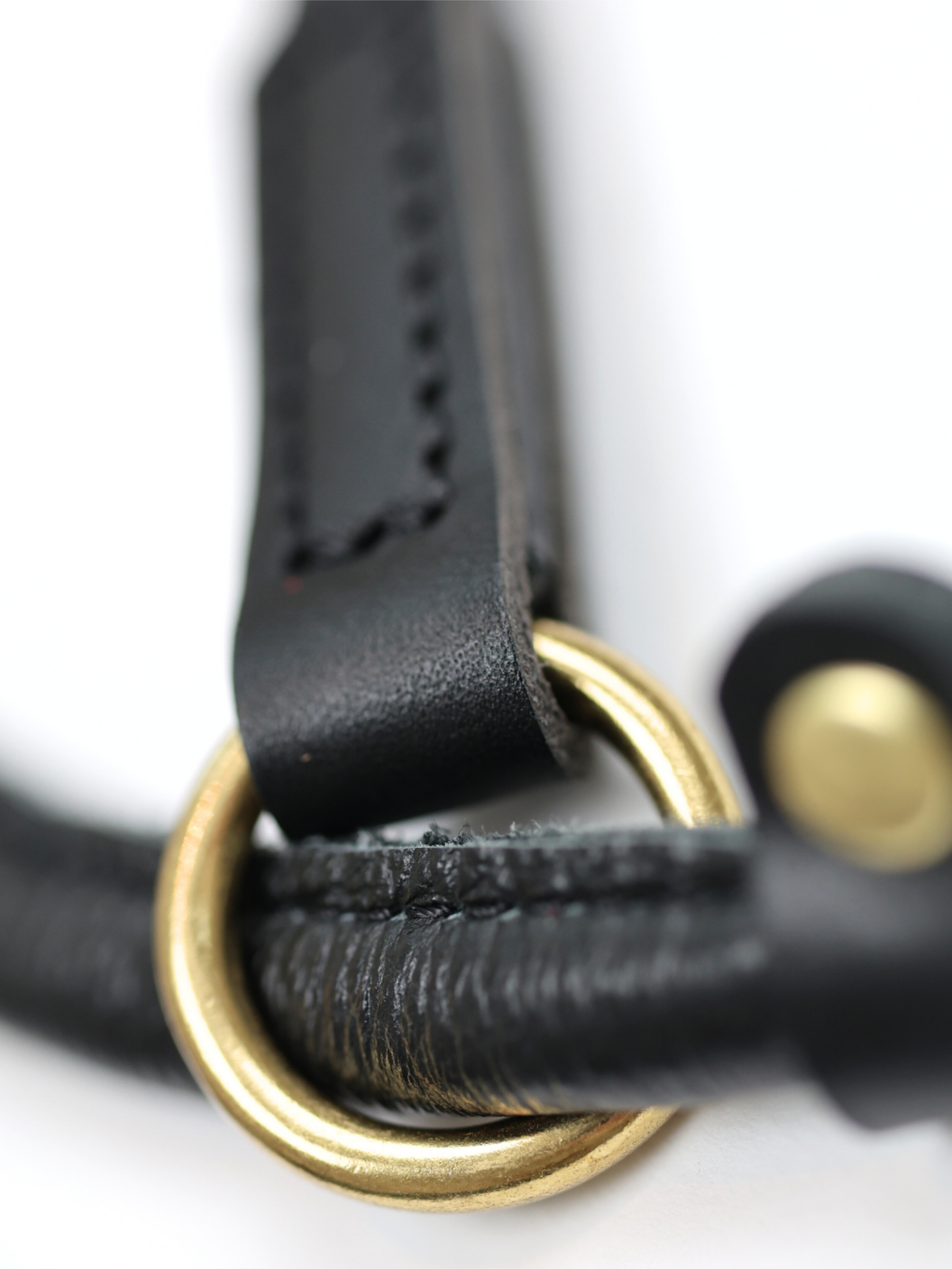 The Norfolk Slip Lead