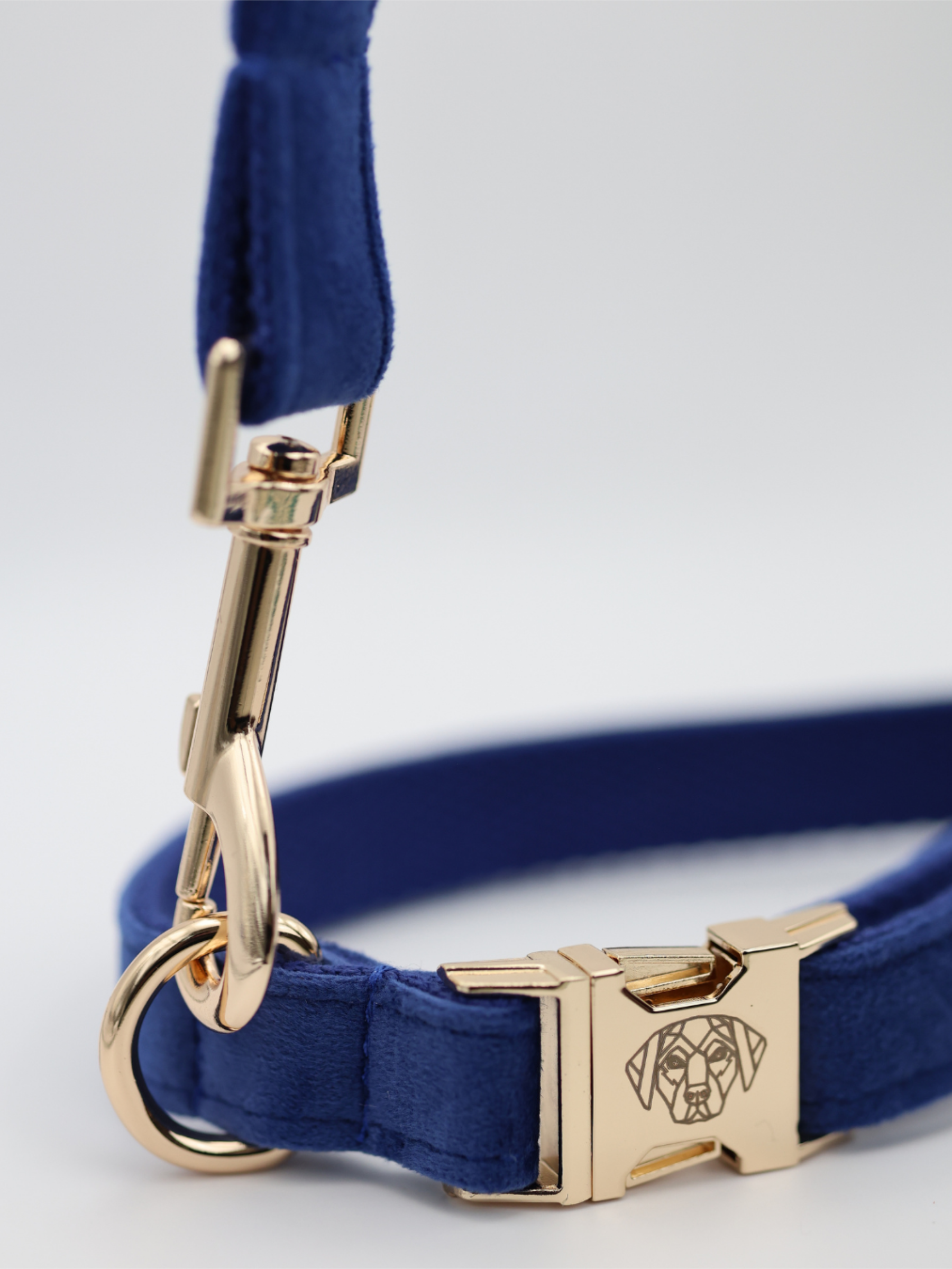 The Soho Collar & Lead