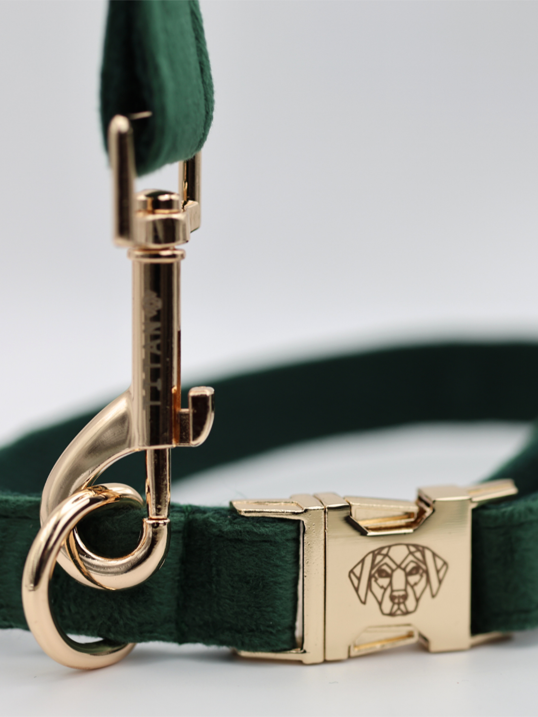 The Soho Collar & Lead