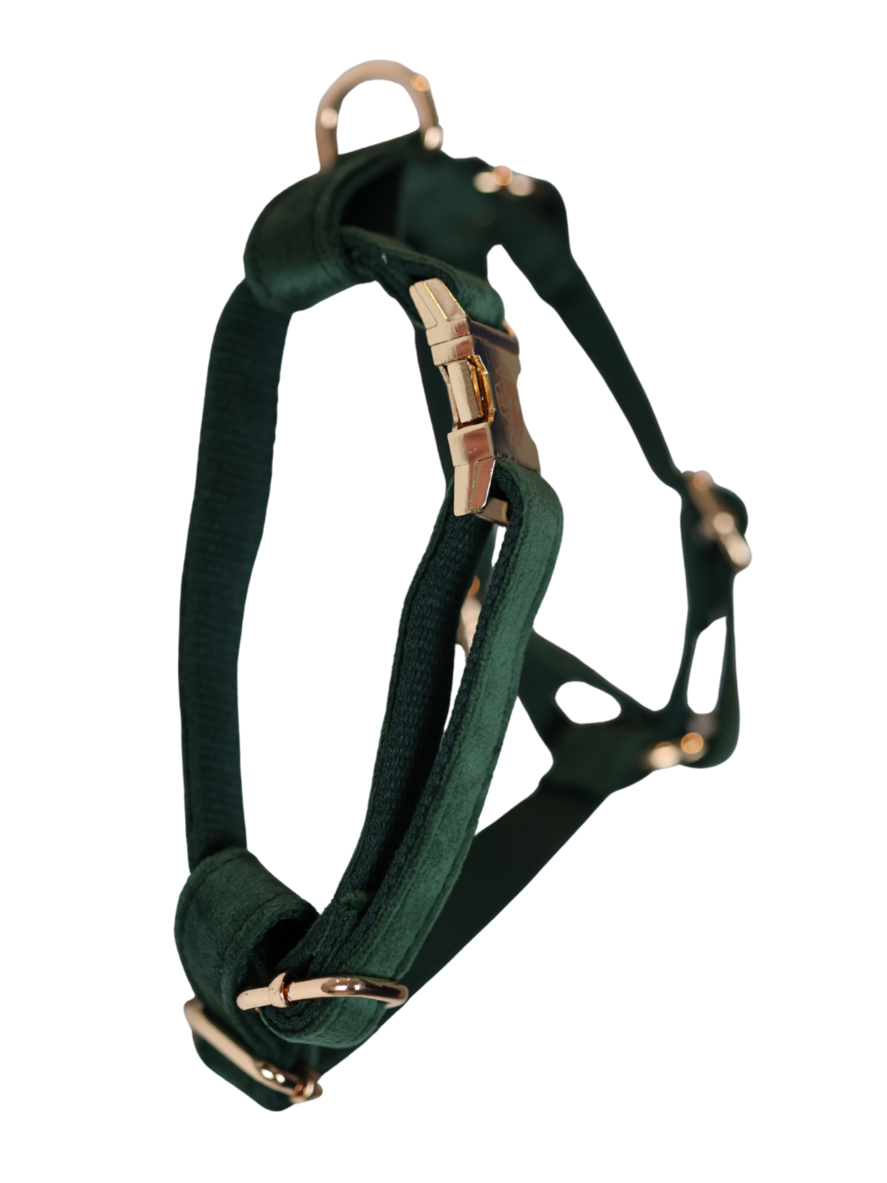 The Soho Harness