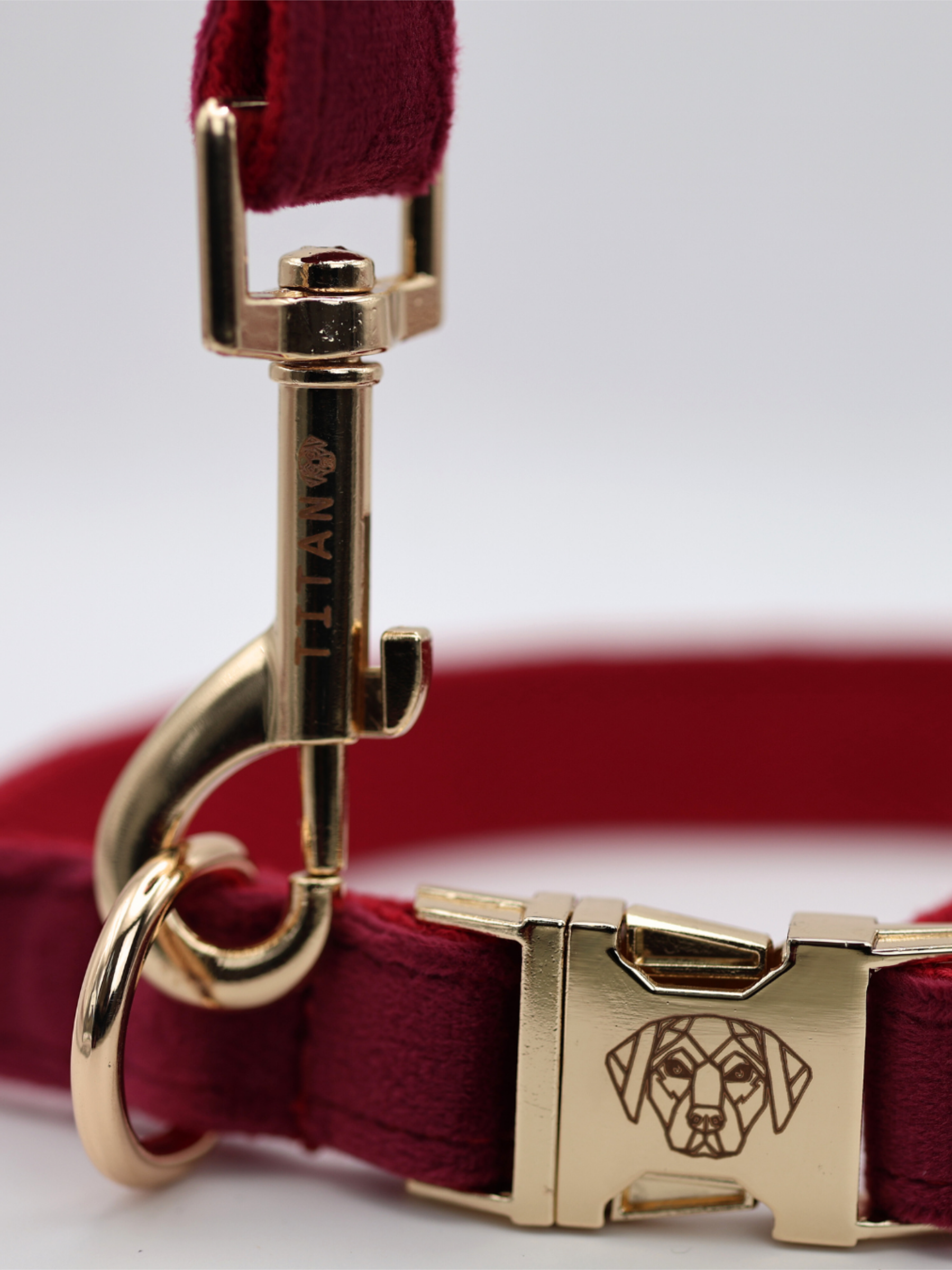 The Soho Collar & Lead