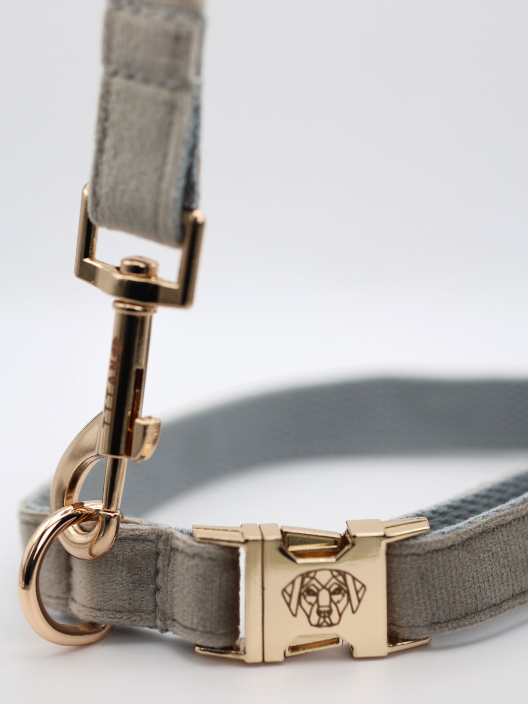 The Soho Collar & Lead