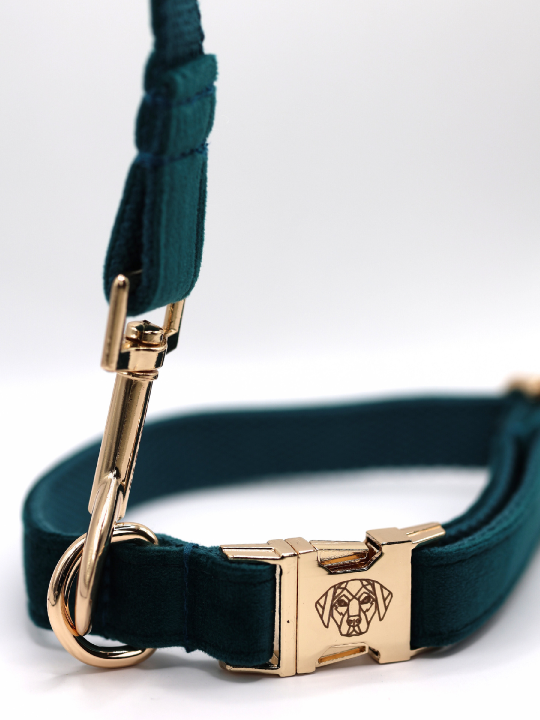 The Soho Collar & Lead