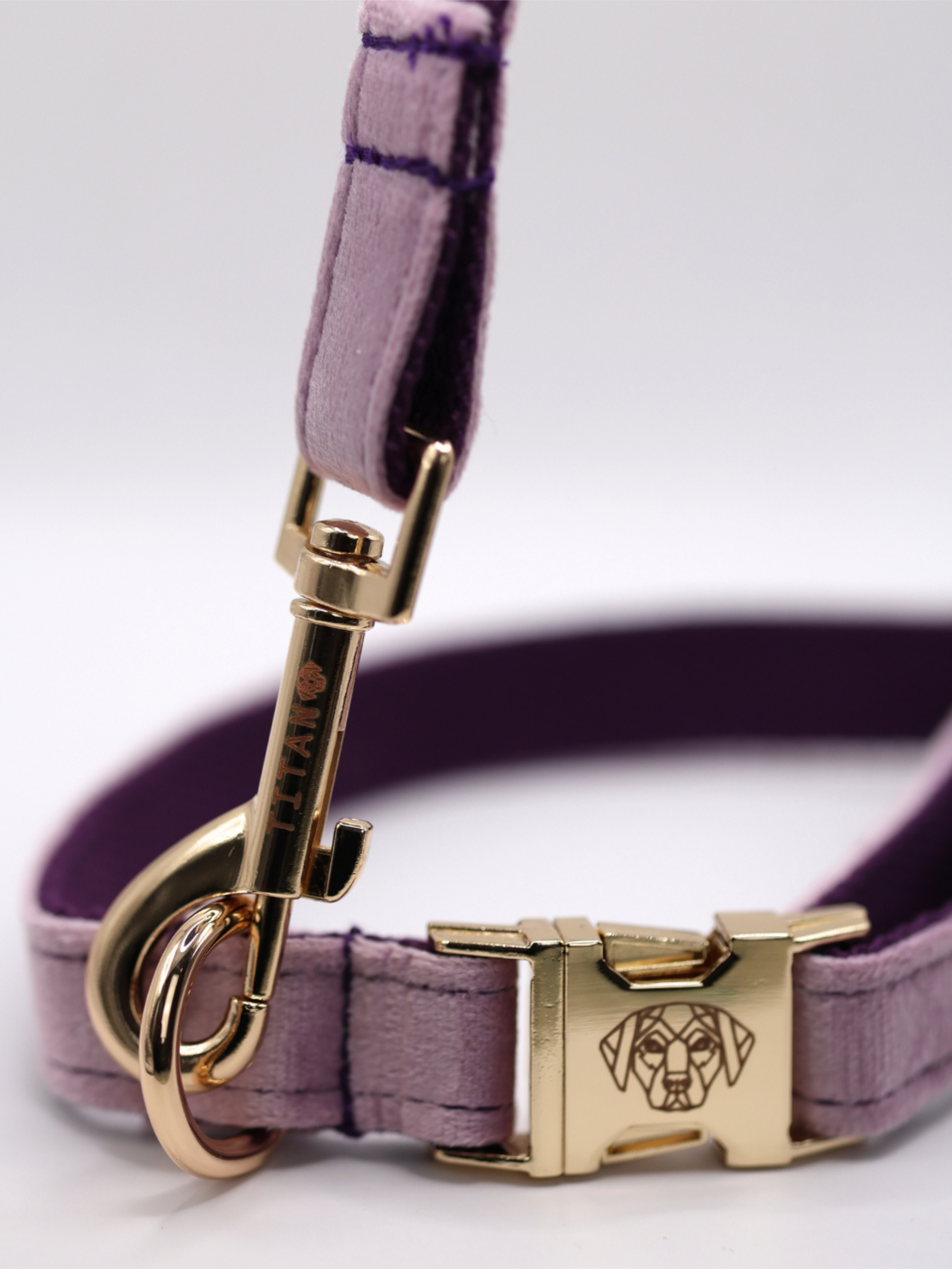 The Soho Collar & Lead