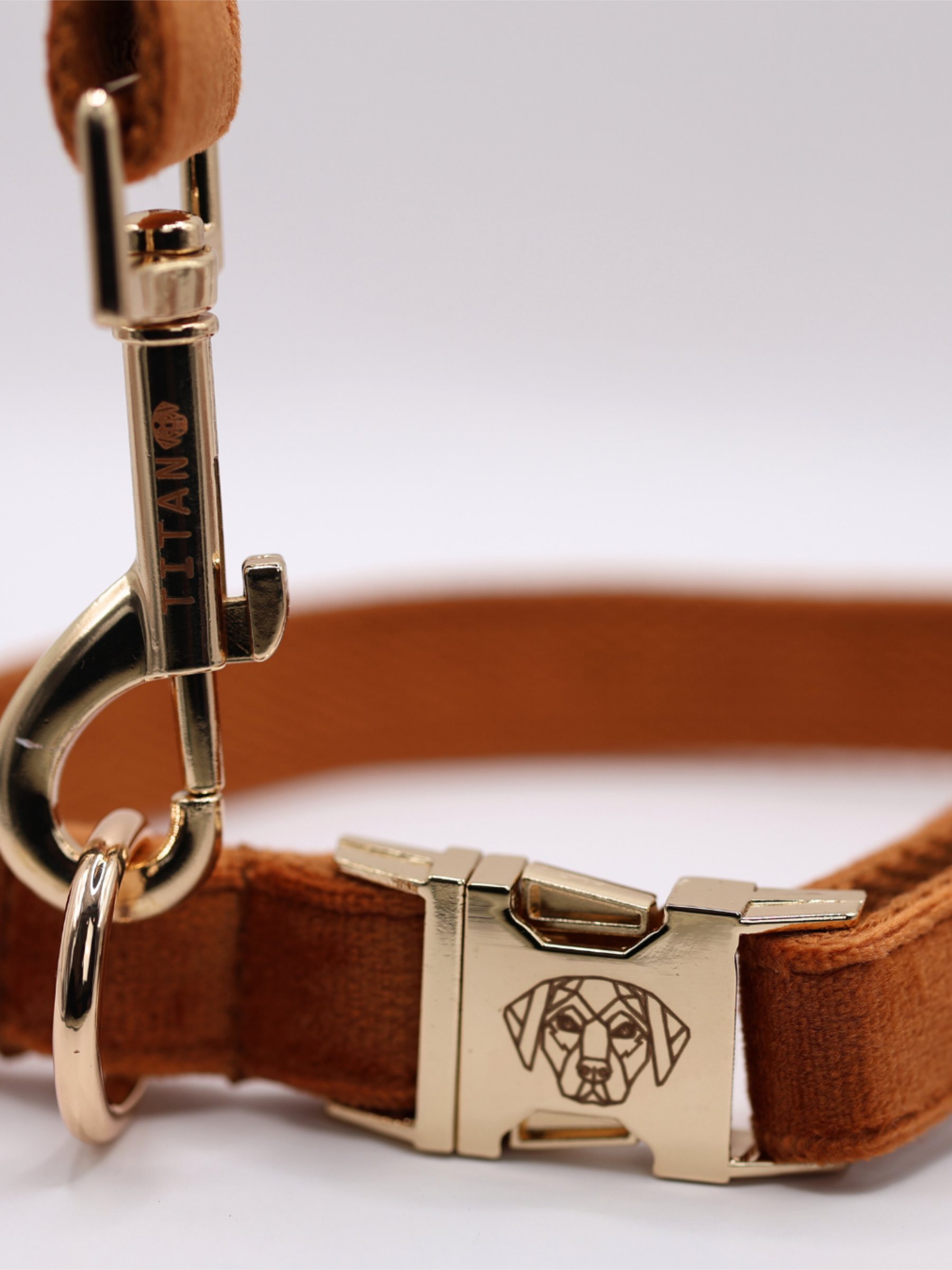 The Soho Collar & Lead