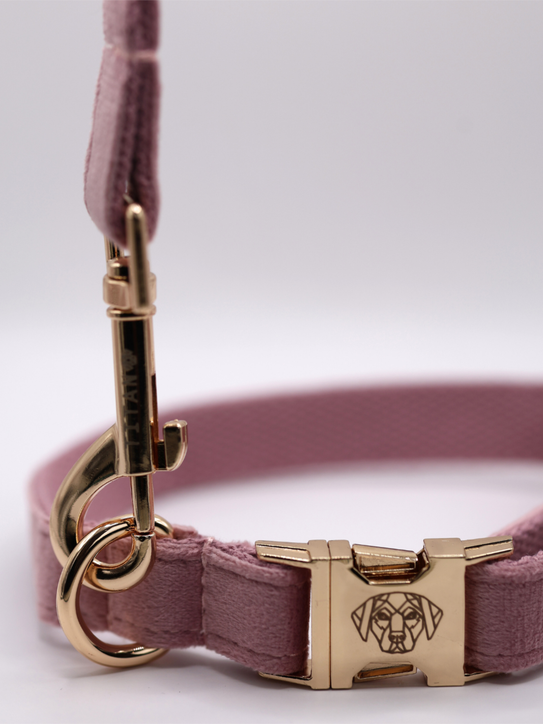 The Soho Collar & Lead