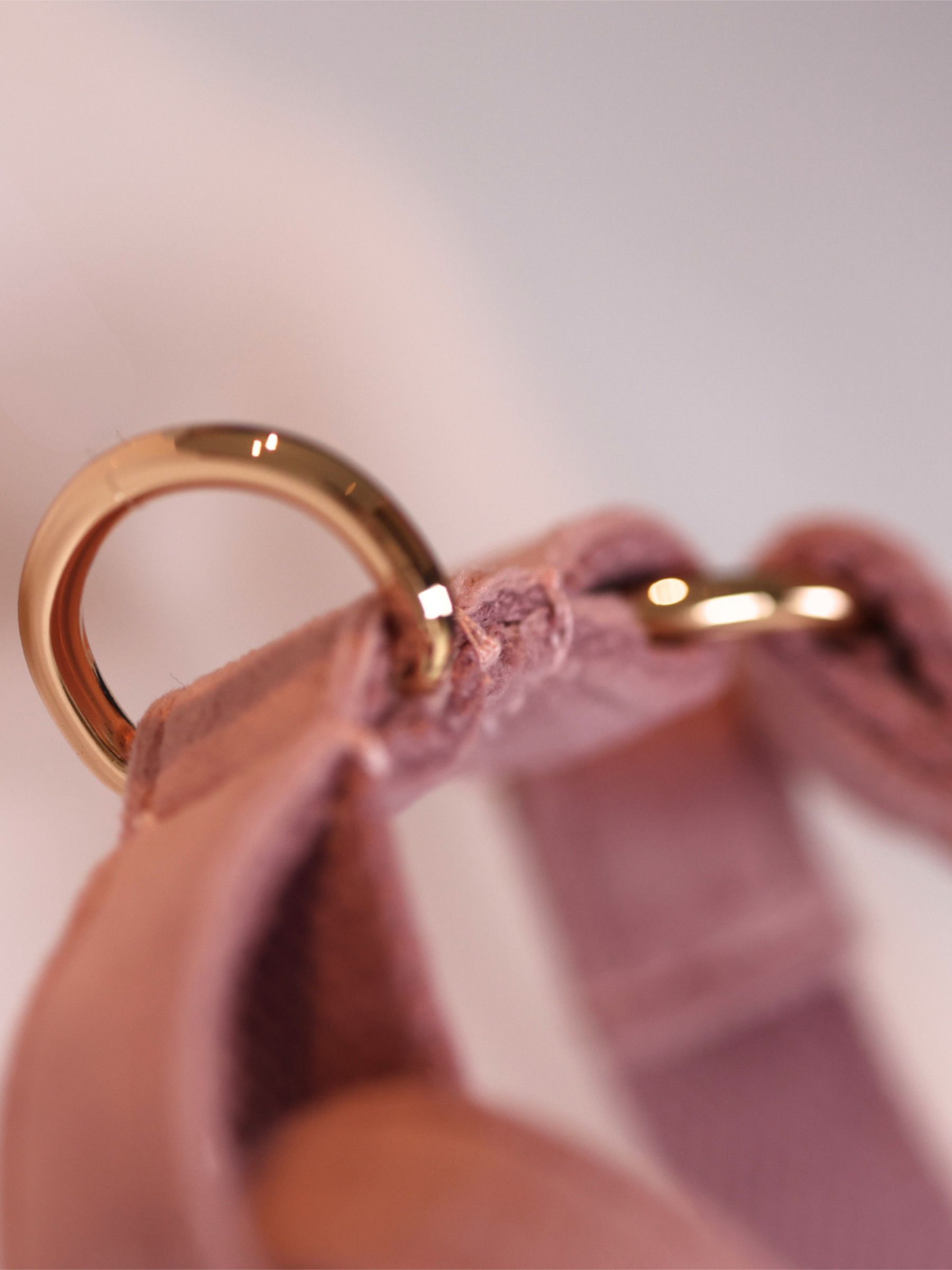 The Soho Puppy Harness