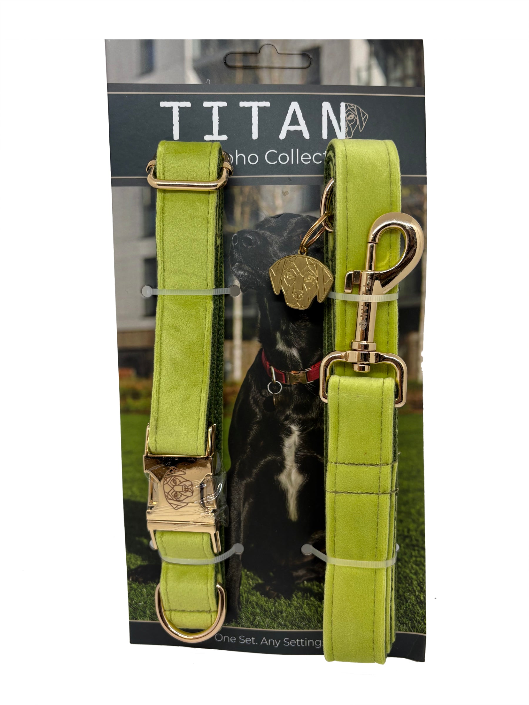 The Soho Collar & Lead (Spring / Summer Collection)