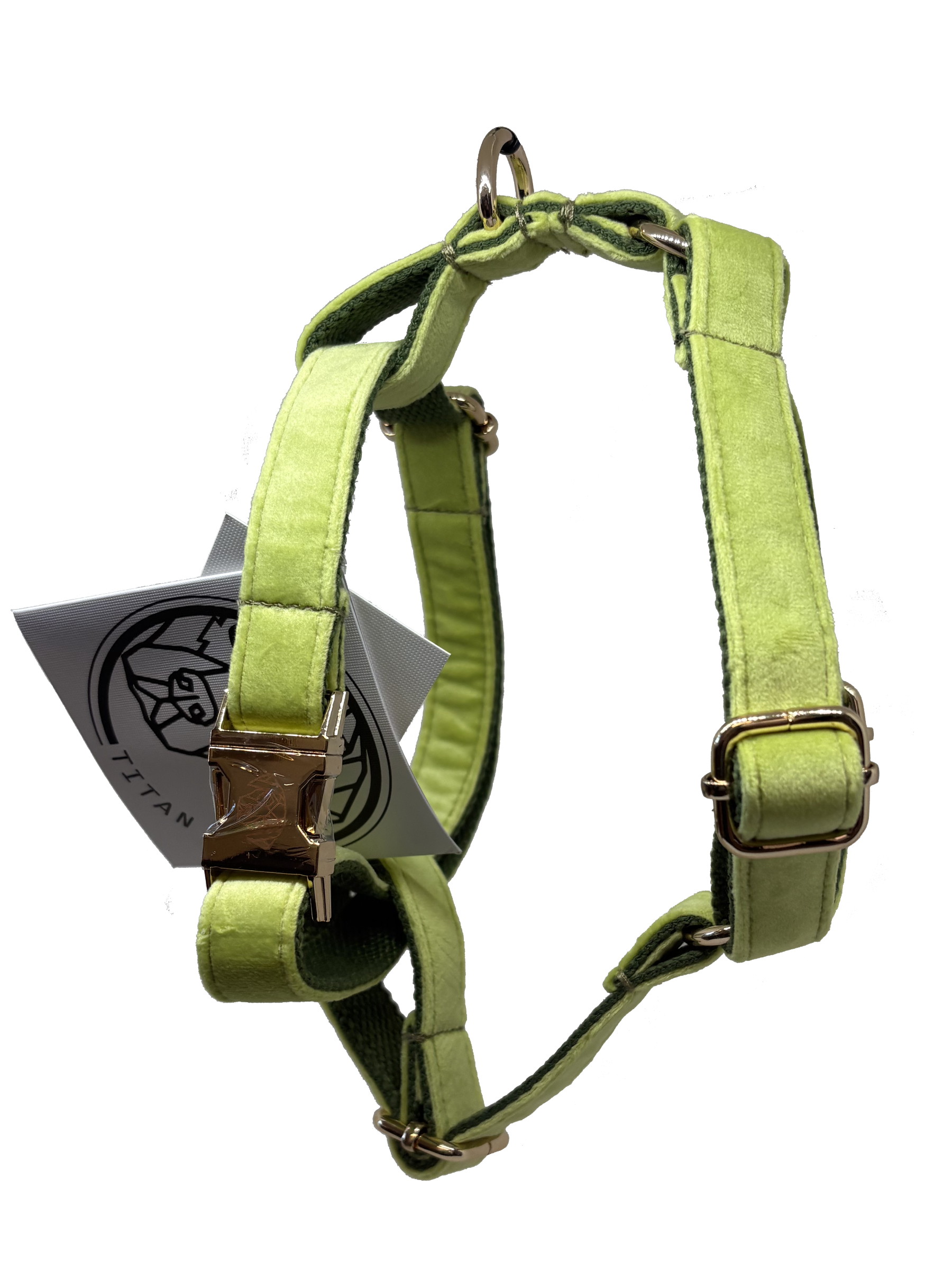 The Soho Harness (Spring/Summer Collection)