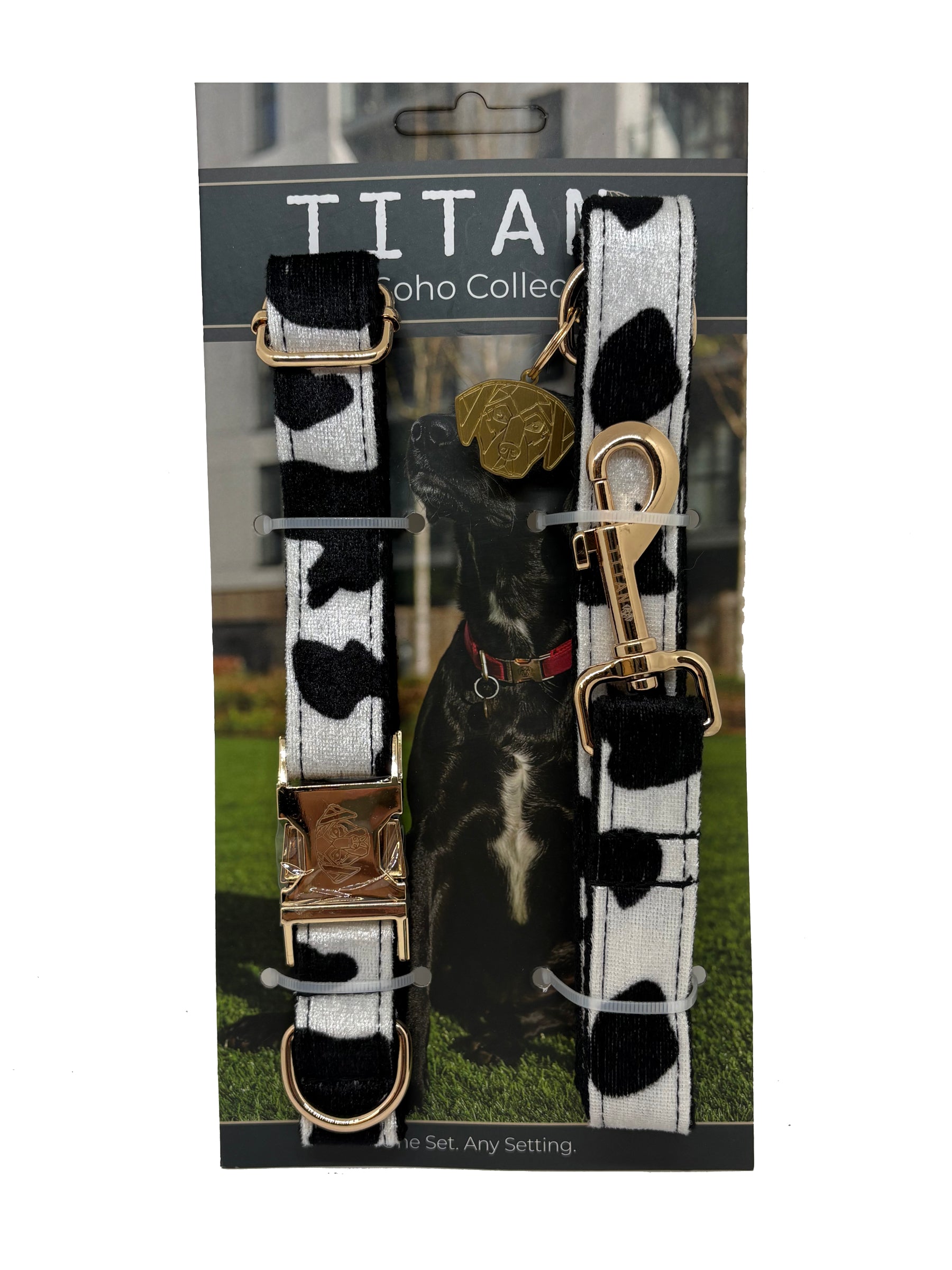 The Soho Collar & Lead (Spring / Summer Collection)