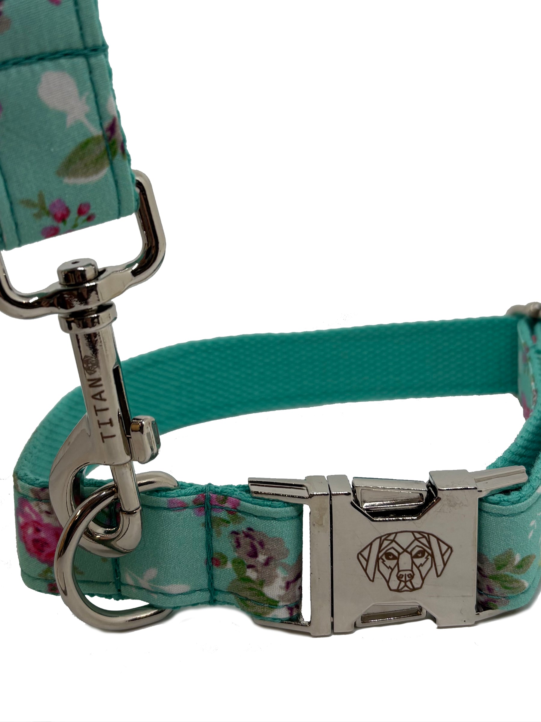 The Soho Collar & Lead (Spring / Summer Collection)