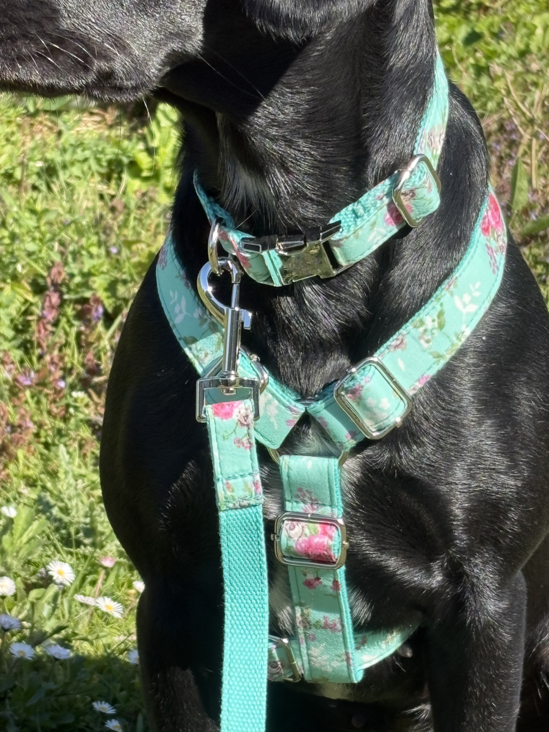 The Soho Harness (Spring/Summer Collection)