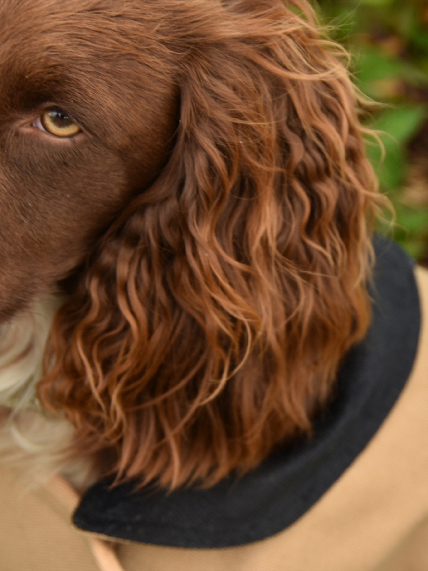 The Hunter Harvest Coat